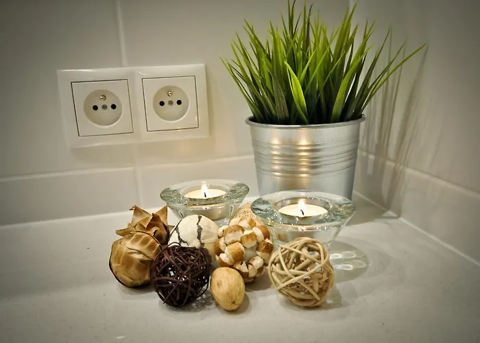 Unique Aquarius Ii 公寓 索波特